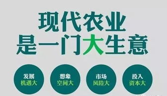 农业未来5年的发展方向